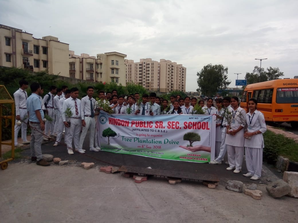 Tree Plantation